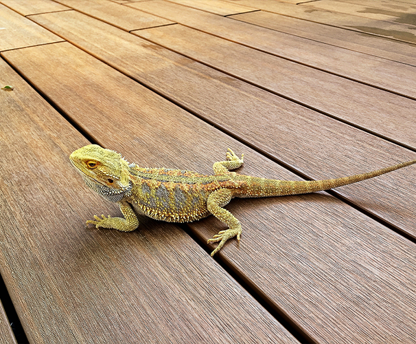 NEWTECHWOOD outdoor floor