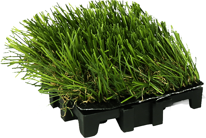 Grass-Cube